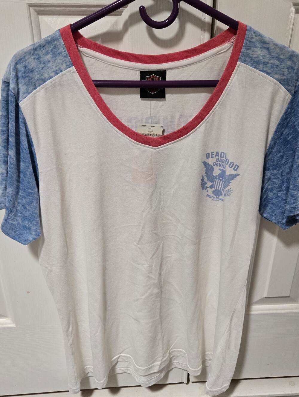Harley-Davidson White V-Neck Tee with Blue Sleeves and Red Trim Size L